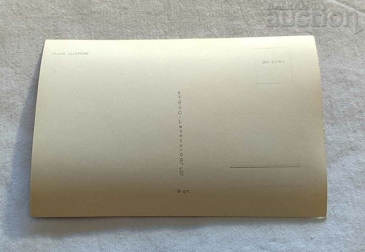 JACQUES CHARIET ACTOR FRANCE 1962 P.K. with price 1.00 BGN | € 0.51 JACQUES CHARIET ACTOR FRANCE 1962 P.K. with price 1.00 BGN | € 0.51