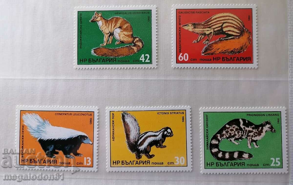 Bulgaria - exotic predators, 1985