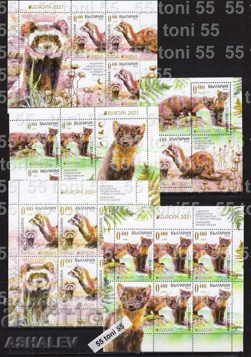 2021 Europe Fauna comp. 5 souvenir blocks