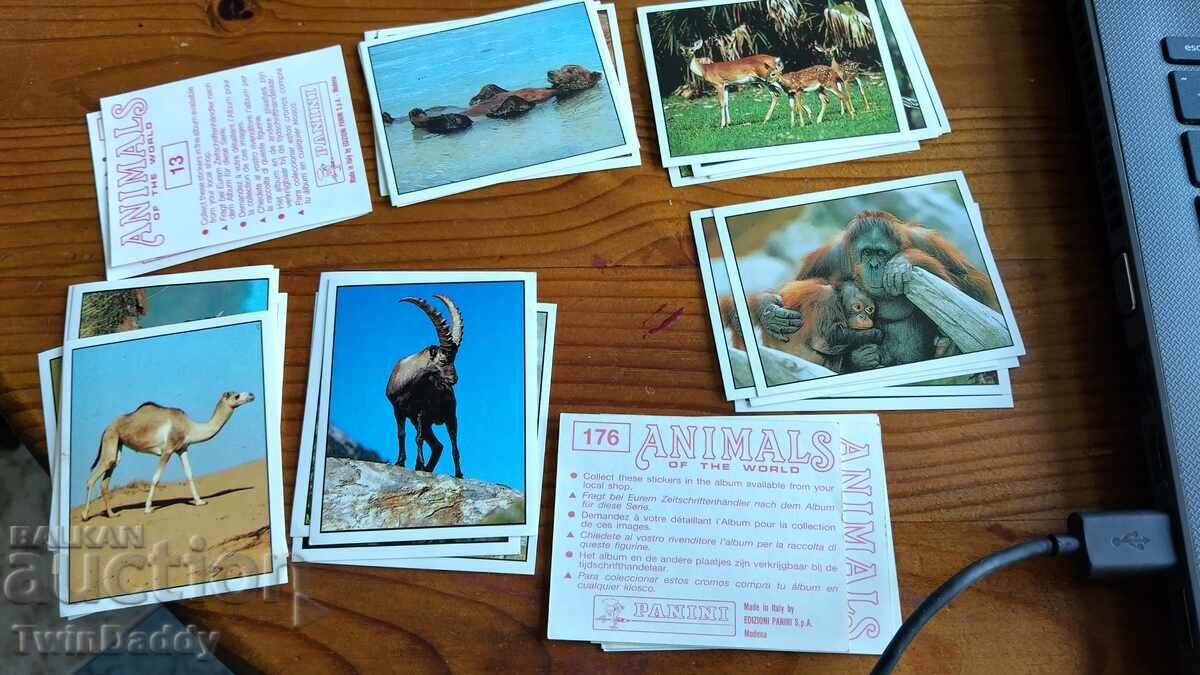 Panini animal stickers - 25 pieces