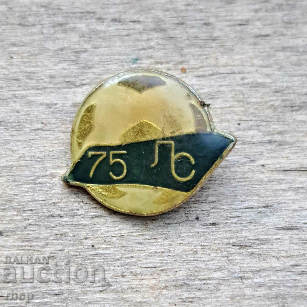 Levski Spartak 75 years badge