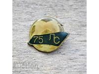 Levski Spartak 75 years badge