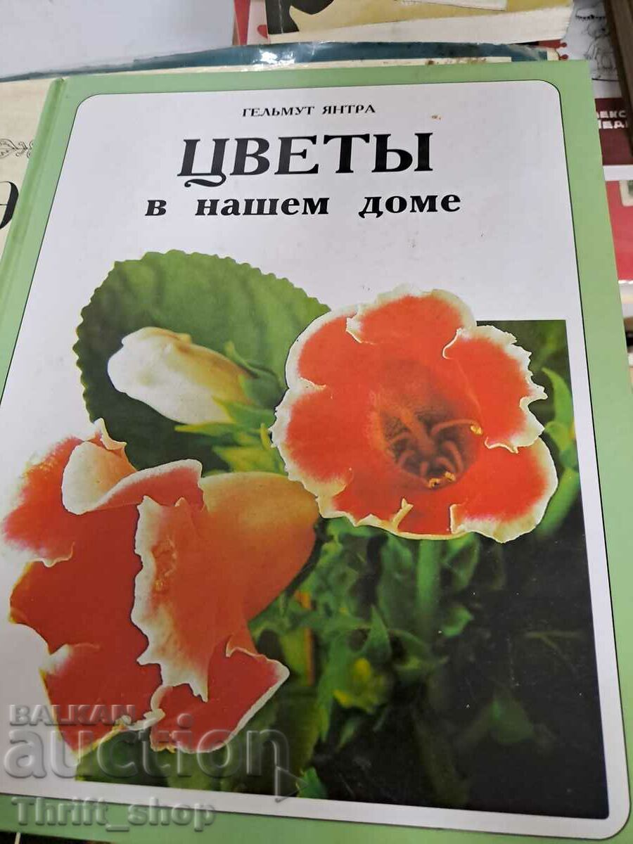 Цветь в нашем доме