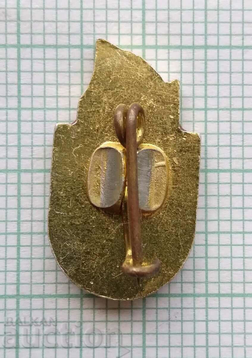 Delivery of 16846 Badge - 75 years FC Levski Spartak Sofia Delivery of 16846 Badge - 75 years FC Levski Spartak Sofia