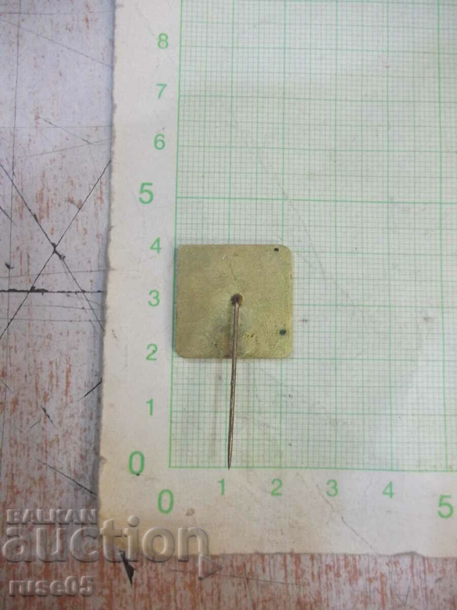 Badge - 23 with price 1.00 BGN | € 0.51