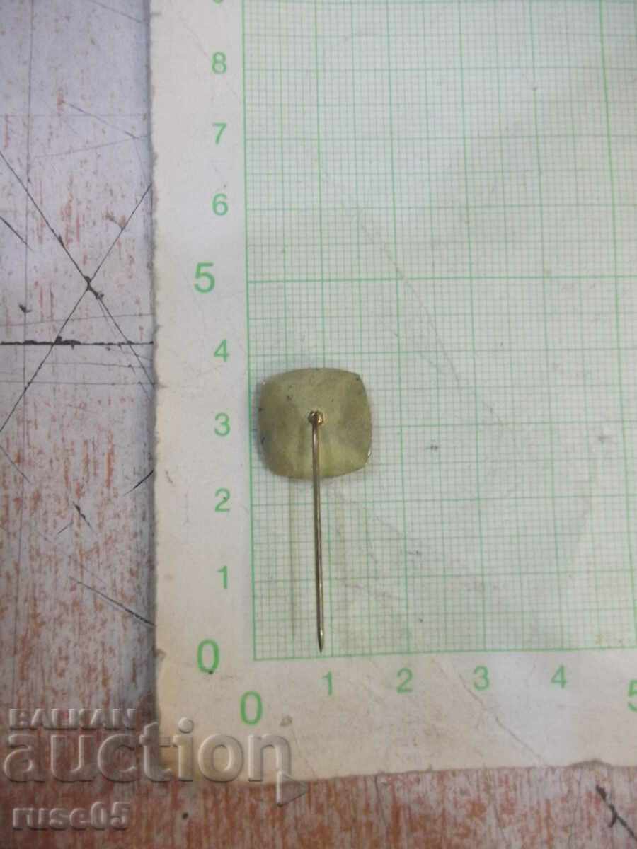 Badge - 24 with price 1.00 BGN | € 0.51 Badge - 24 with price 1.00 BGN | € 0.51