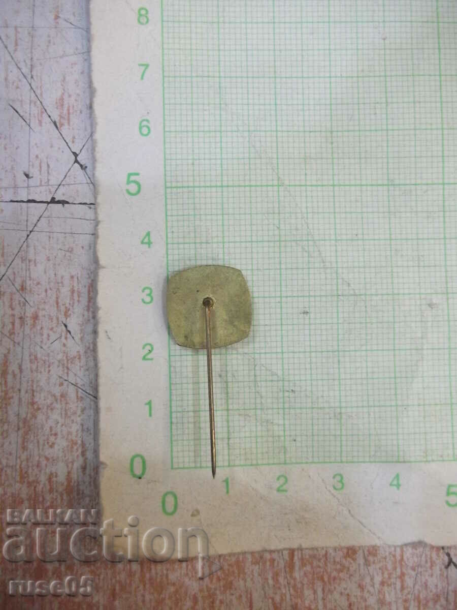 Auction Badge - 25 Auction Badge - 25