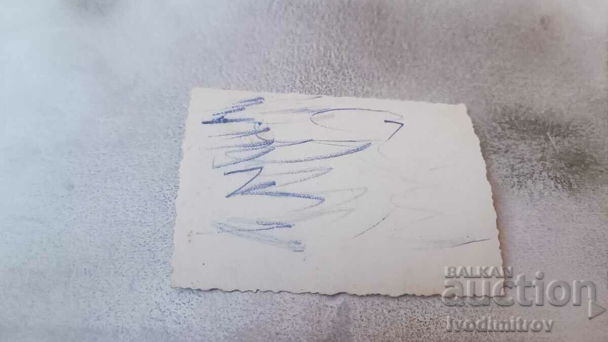 Photo A young girl lying on the grass with price 1.65 BGN | € 0.84