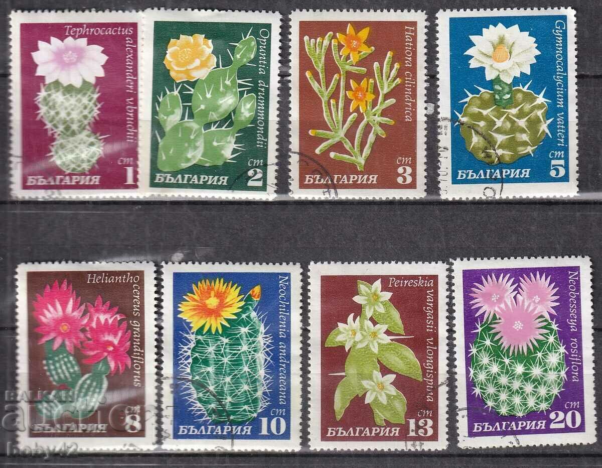 BK ,2057-2064 Cacti, machine stamped