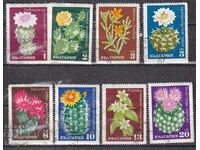 BK ,2057-2064 Cacti, machine stamped