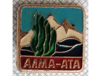 16849 Badge - Alma-Ata