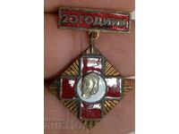 20 ΧΡΟΝΙΑ ΝΟΣΗΛΕΥΤΙΚΗ BCHK BADGE