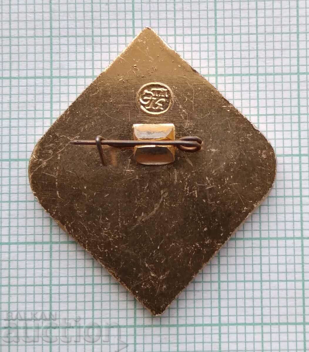 Auction  16853 Badge - 30 years Tourist MGTC - USSR