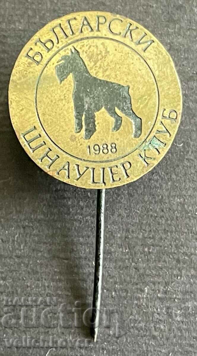 37886 Bulgaria badge Bulgarian Schnauzer Club 1988.