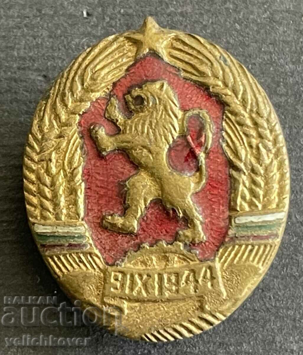 37887 Bulgaria enamel coat of arms NRB for military cockade enamel