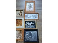 Lot of 7 paintings