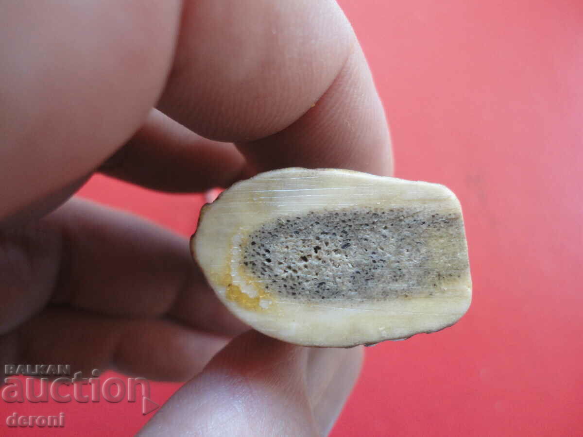 Παράδοση Υπέροχο ανοιχτήρι κόρνας 5 Παράδοση Υπέροχο ανοιχτήρι κόρνας 5