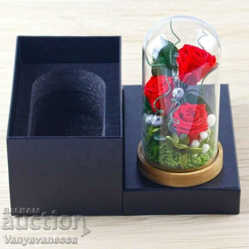 Δημοπρασία Ικεμπάνα μακράς διαρκείας χωρίς πότισμα και εμβολιασμός 5 χρόνια Δημοπρασία Ικεμπάνα μακράς διαρκείας χωρίς πότισμα και εμβολιασμός 5 χρόνια