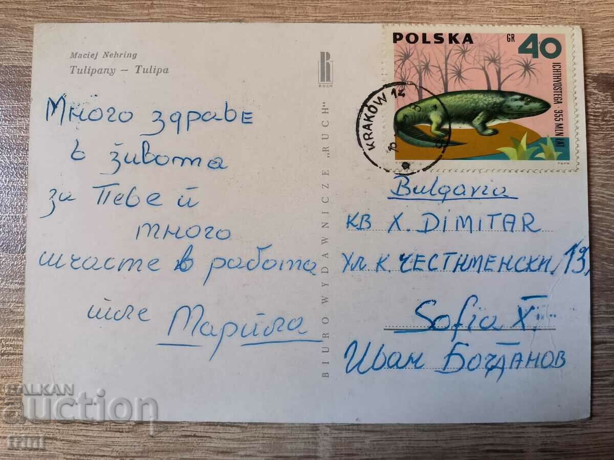 Travel card Poland with price 2.00 BGN | € 1.02 Travel card Poland with price 2.00 BGN | € 1.02