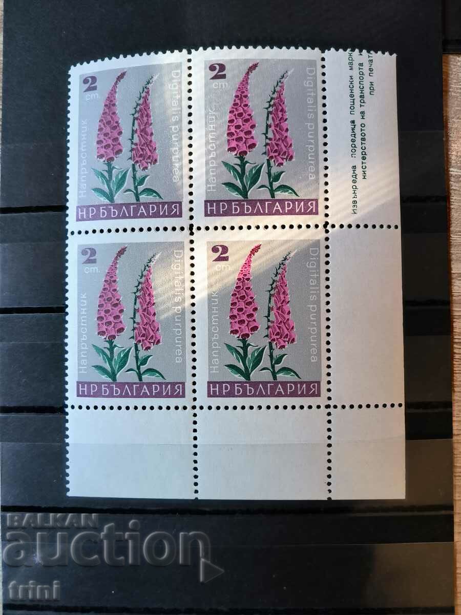 Bulgaria Flora Garden flowers 1966 square