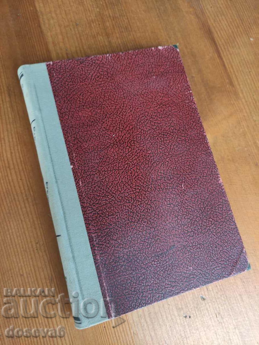 Old Antique Book - The Holy Virgin of Paris - 6