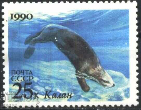 Clean Stamps Fauna Marine Mammals 1990 of the USSR with price 1.20 BGN | € 0.61 Clean Stamps Fauna Marine Mammals 1990 of the USSR with price 1.20 BGN | € 0.61
