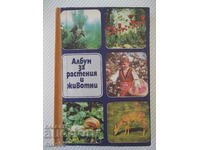 Book "Album about plants and animals - Nikolai Boev" - 302 pages.