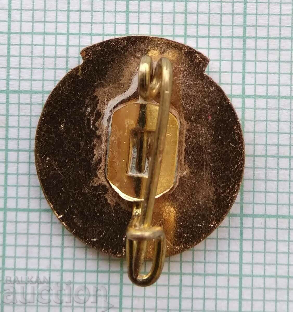 Delivery of 16931 Badge - Romanian Gymnastics Federation - bronze enamel Delivery of 16931 Badge - Romanian Gymnastics Federation - bronze enamel