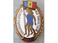 16933 Youth Sports Competitions 1955 Romania - bronze enamel