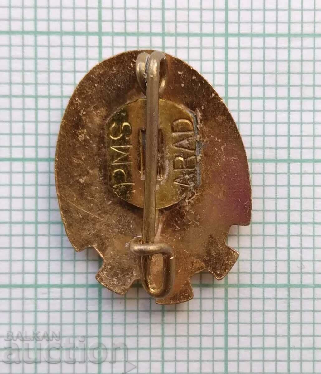 Delivery of 16938 Union of Working Youth Romania - bronze enamel Delivery of 16938 Union of Working Youth Romania - bronze enamel