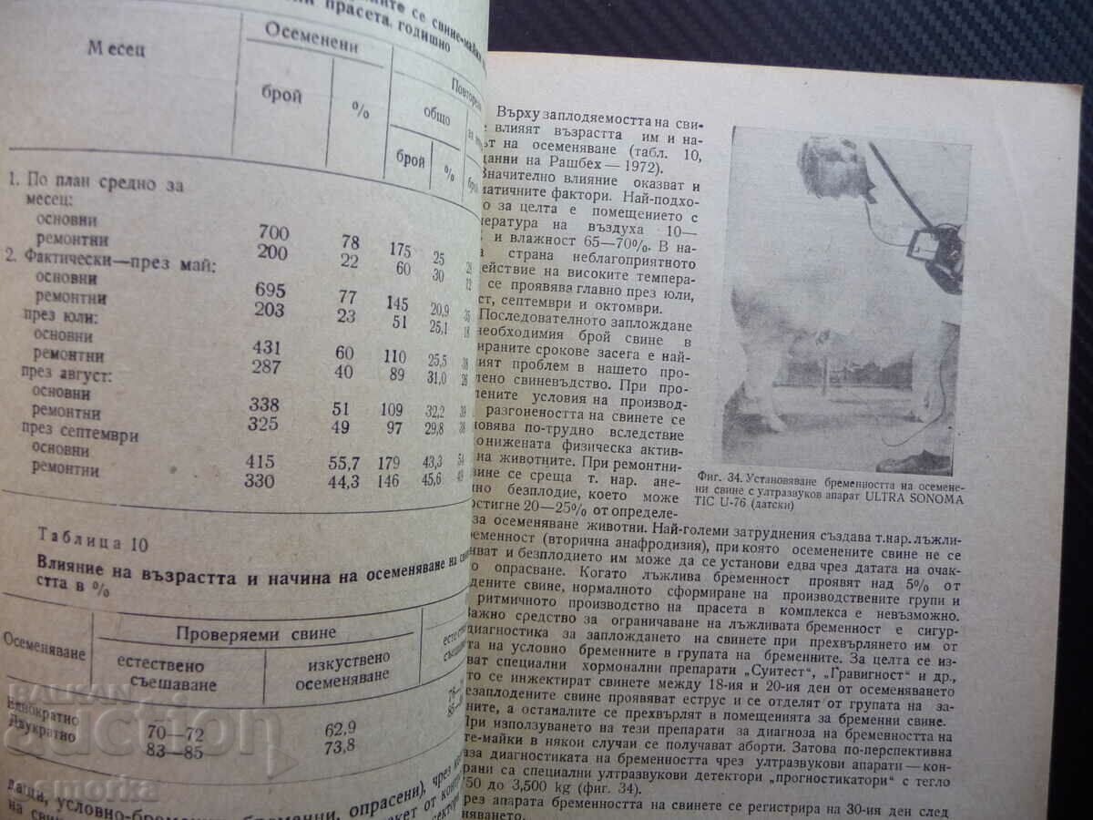 Guide to exercises in pig farming pig farming with price 5.00 BGN | € 2.56 Guide to exercises in pig farming pig farming with price 5.00 BGN | € 2.56