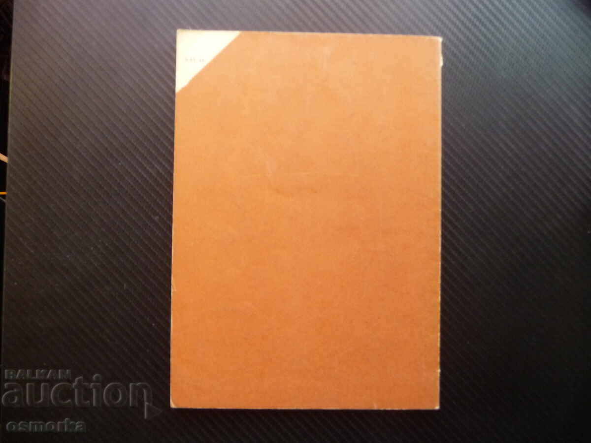 Auction Guide to exercises in pig farming pig farming Auction Guide to exercises in pig farming pig farming