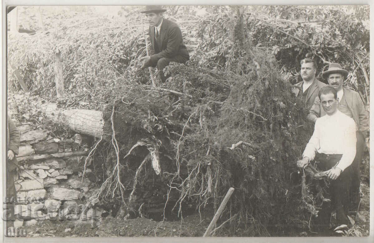 Bulgaria, Stara Zagora, RPPC, after the earthquake