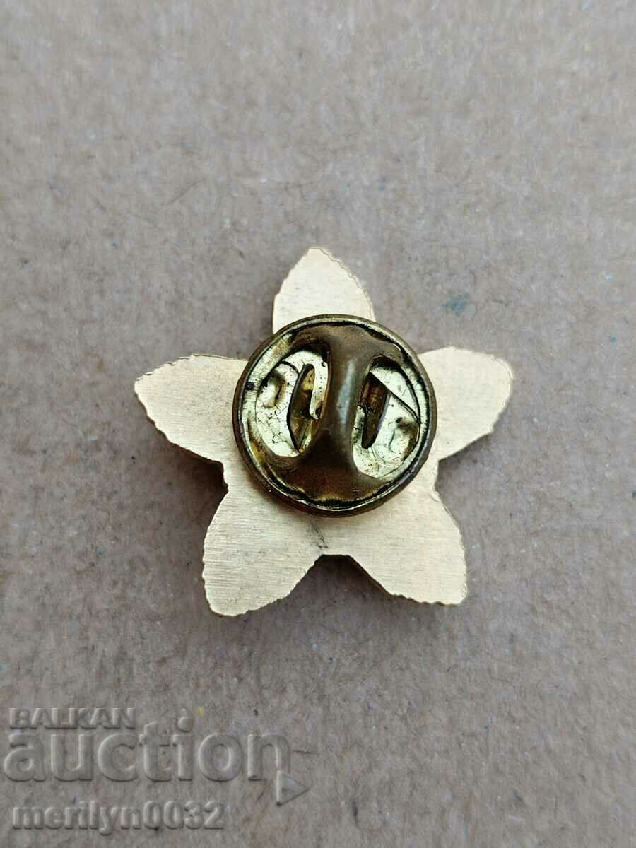 Miniature of order 13th century Bulgaria gilded version NRB with price 215.00 BGN | € 109.93 Miniature of order 13th century Bulgaria gilded version NRB with price 215.00 BGN | € 109.93