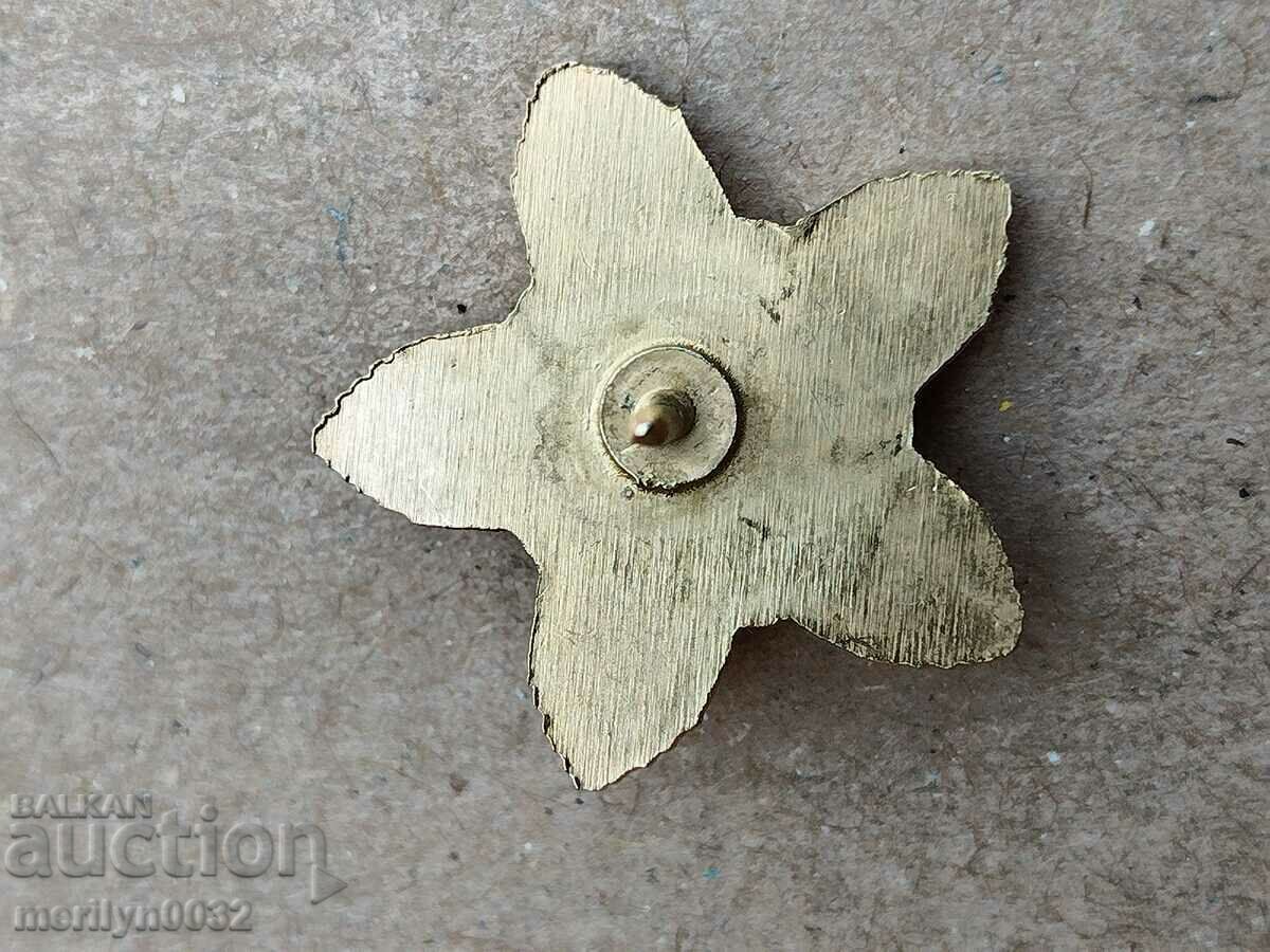 Miniature of order 13th century Bulgaria gilded version NRB - 5 Miniature of order 13th century Bulgaria gilded version NRB - 5