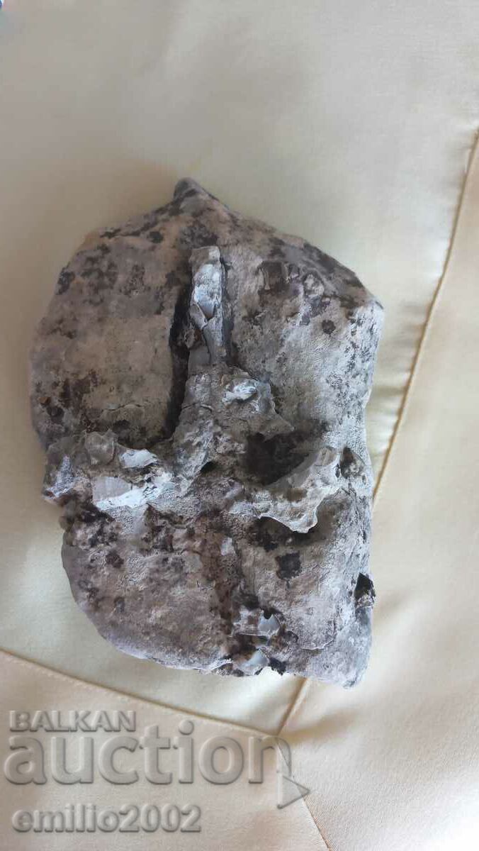 Interesting fossil 15cm