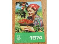 1974 DZI CALENDAR SOCIAL PERFECT