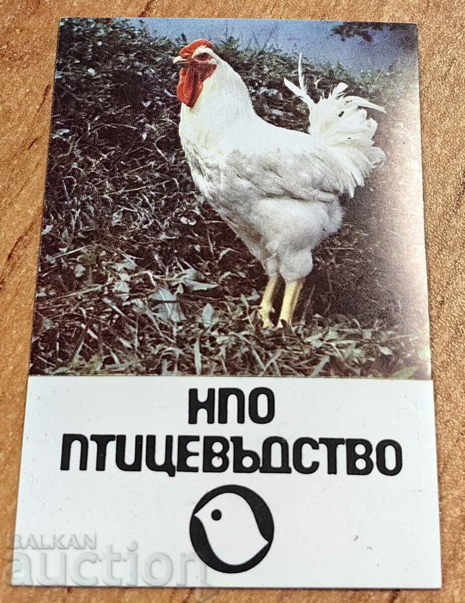 1985 POULTRY PERFECT SOCIAL CALENDAR