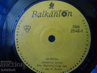 LUNA, VMK 2846, gramophone record, small