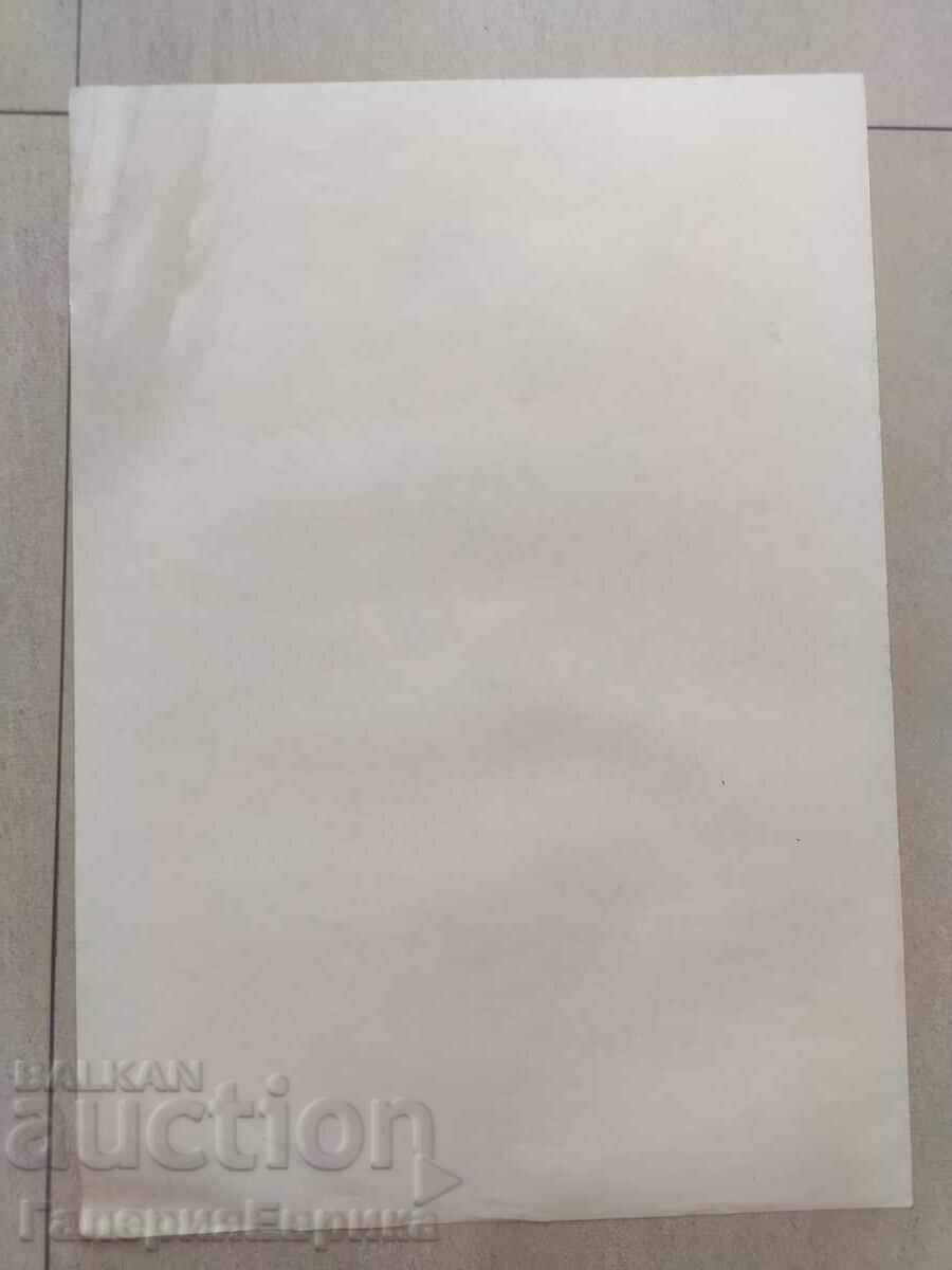 Auction Master drawing Auction Master drawing