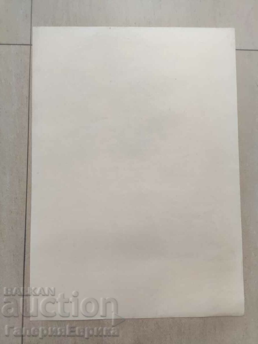 Auction Master drawing Auction Master drawing