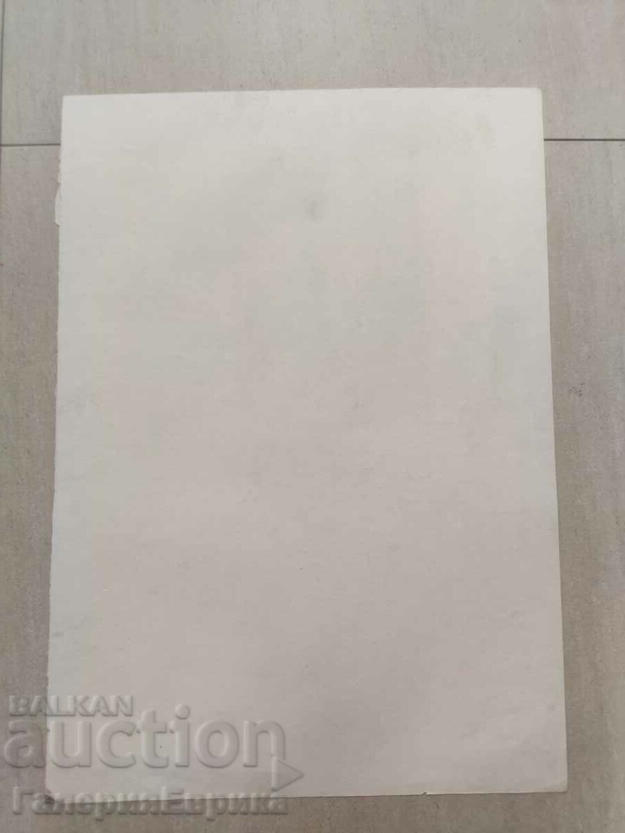 Auction Master drawing Auction Master drawing