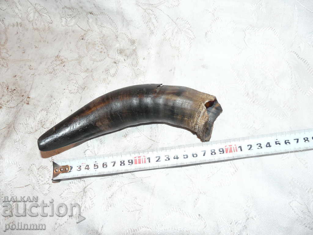 Old cow horn - 1 with price 20.00 BGN | € 10.23 Old cow horn - 1 with price 20.00 BGN | € 10.23