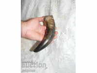 Old cow horn - 1