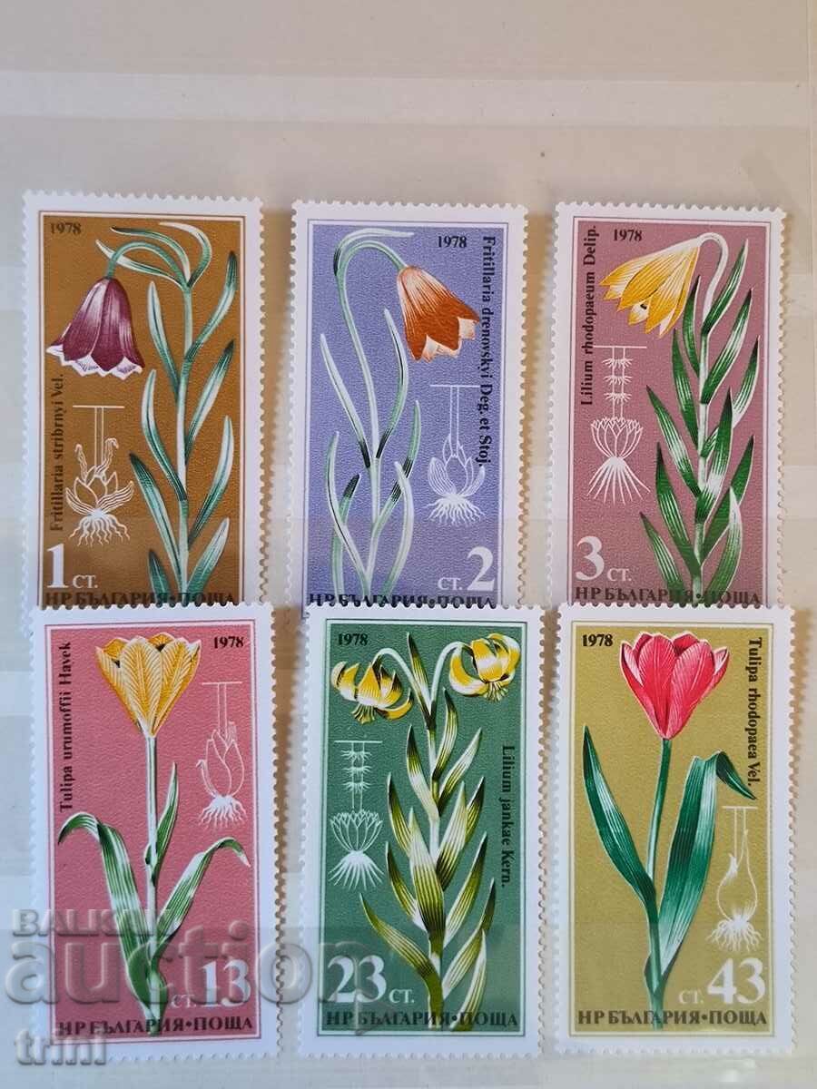 Bulgaria 1978 Flora plante rare