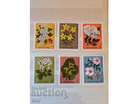 Bulgaria 1981 Flora Plante medicinale