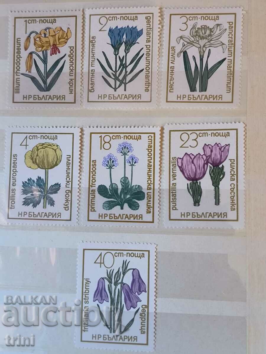 Bulgaria 1972. Flora flori