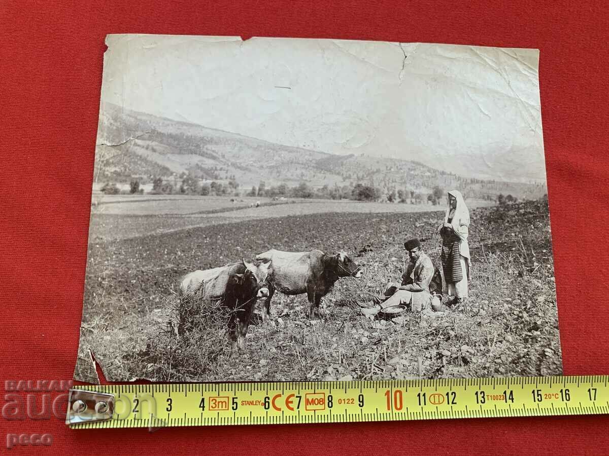 Delivery of Belovo village Village life Photographer Georg Volz early 20th Delivery of Belovo village Village life Photographer Georg Volz early 20th