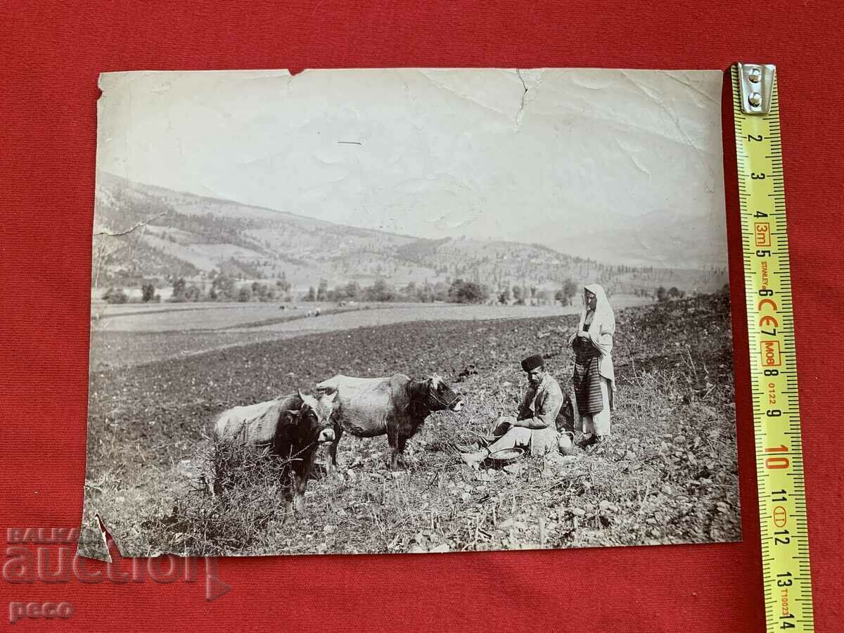 Belovo village Village life Photographer Georg Volz early 20th - 5 Belovo village Village life Photographer Georg Volz early 20th - 5