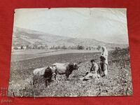 Belovo village Village life Photographer Georg Volz early 20th